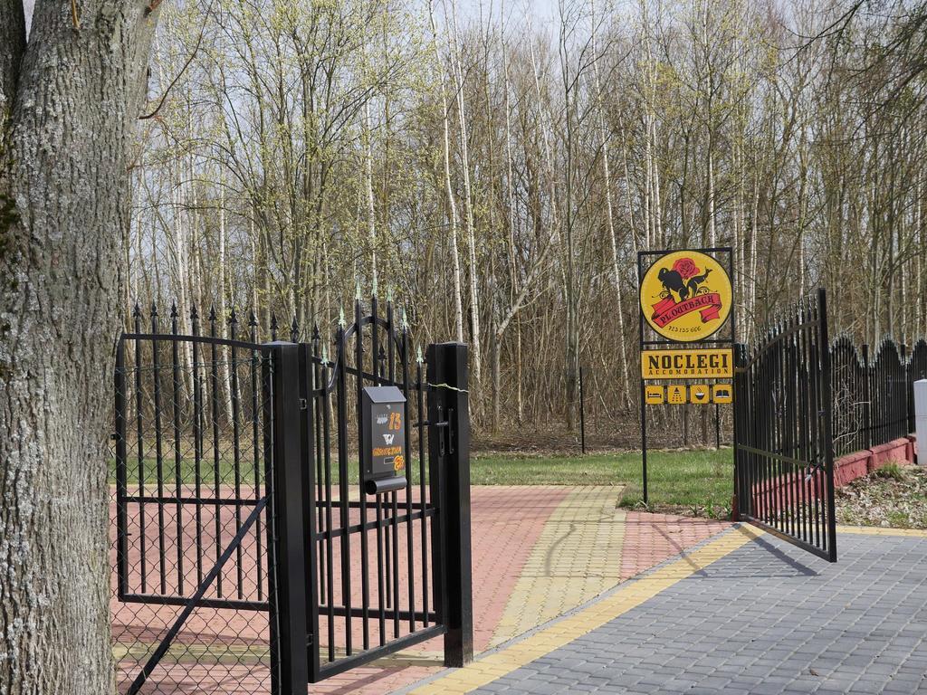 Pl.Outback Lägenhet Białowieża Exteriör bild